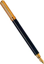 dppt4.jpg (9771 bytes)