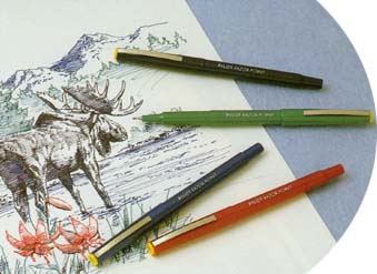 pkpt4.jpg (26126 bytes)